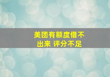 美团有额度借不出来 评分不足